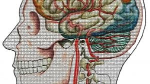 Scopri di più sull'articolo Come raggiungere lo stato di Flow: le emozioni a nostro completo servizio