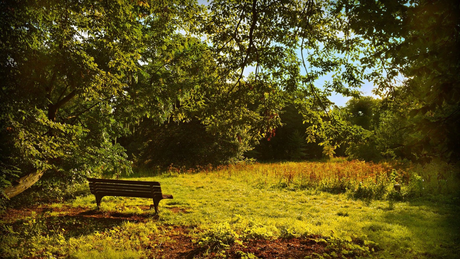 praticare la mindfulness