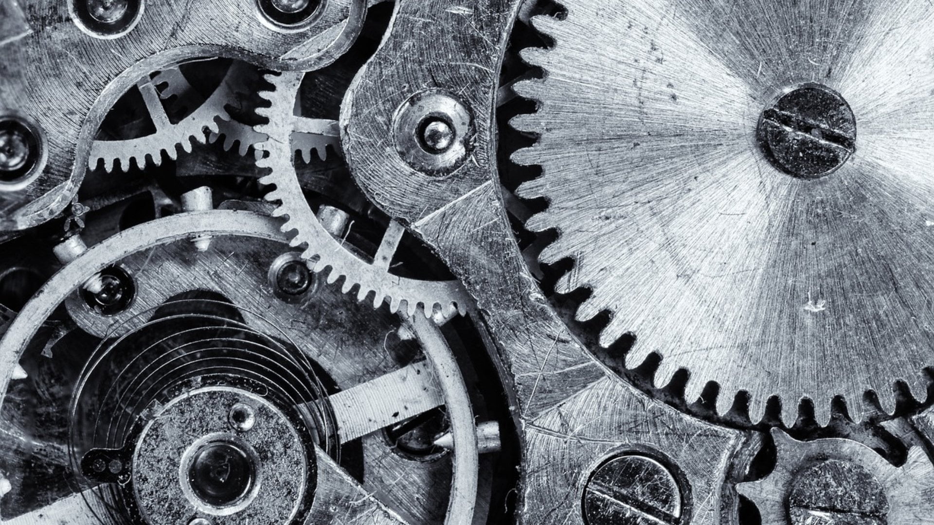 Al momento stai visualizzando La sincronicità tra due persone e degli eventi: nulla accade per caso