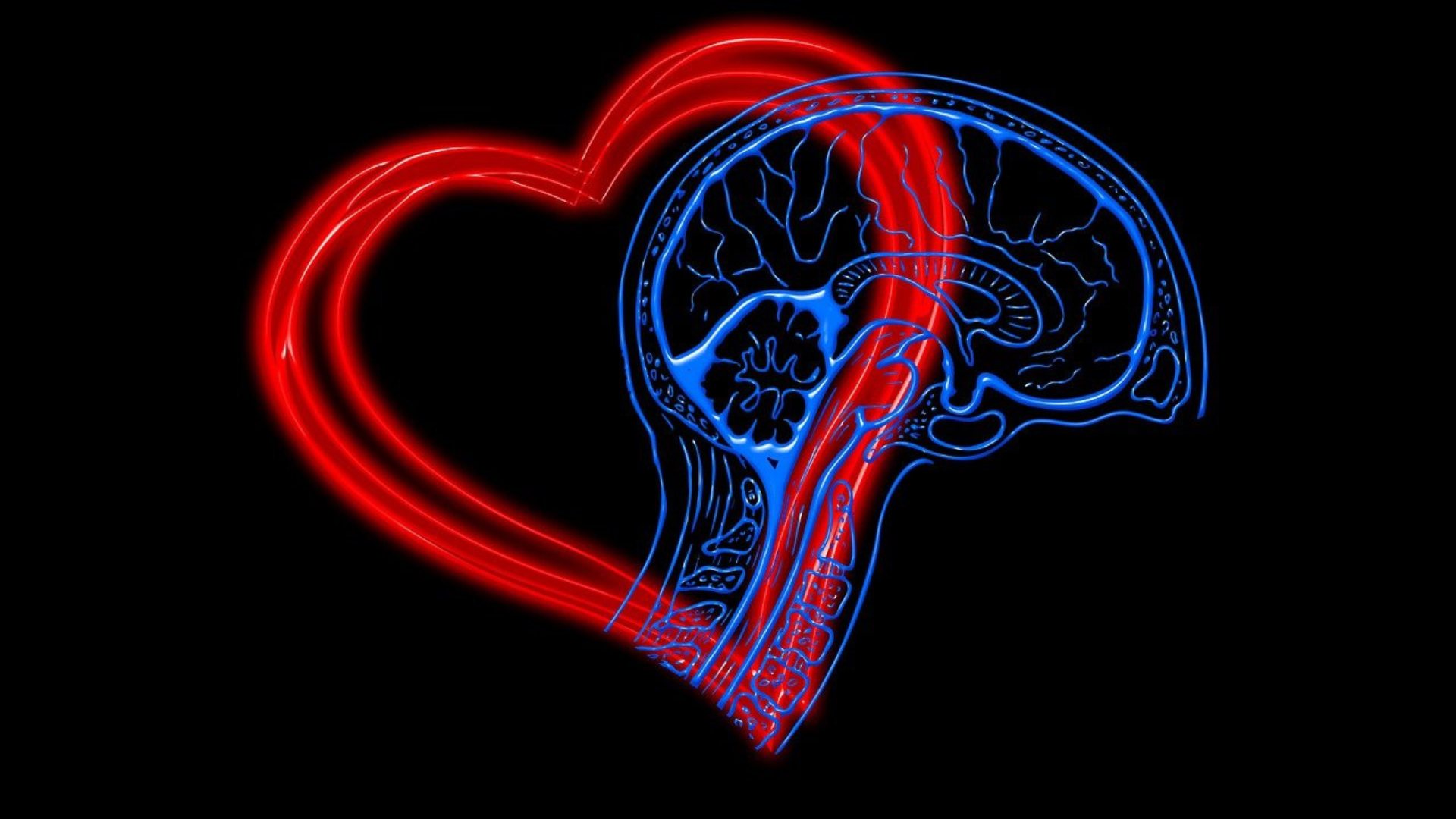 che cos'è l'intelligenza emotiva