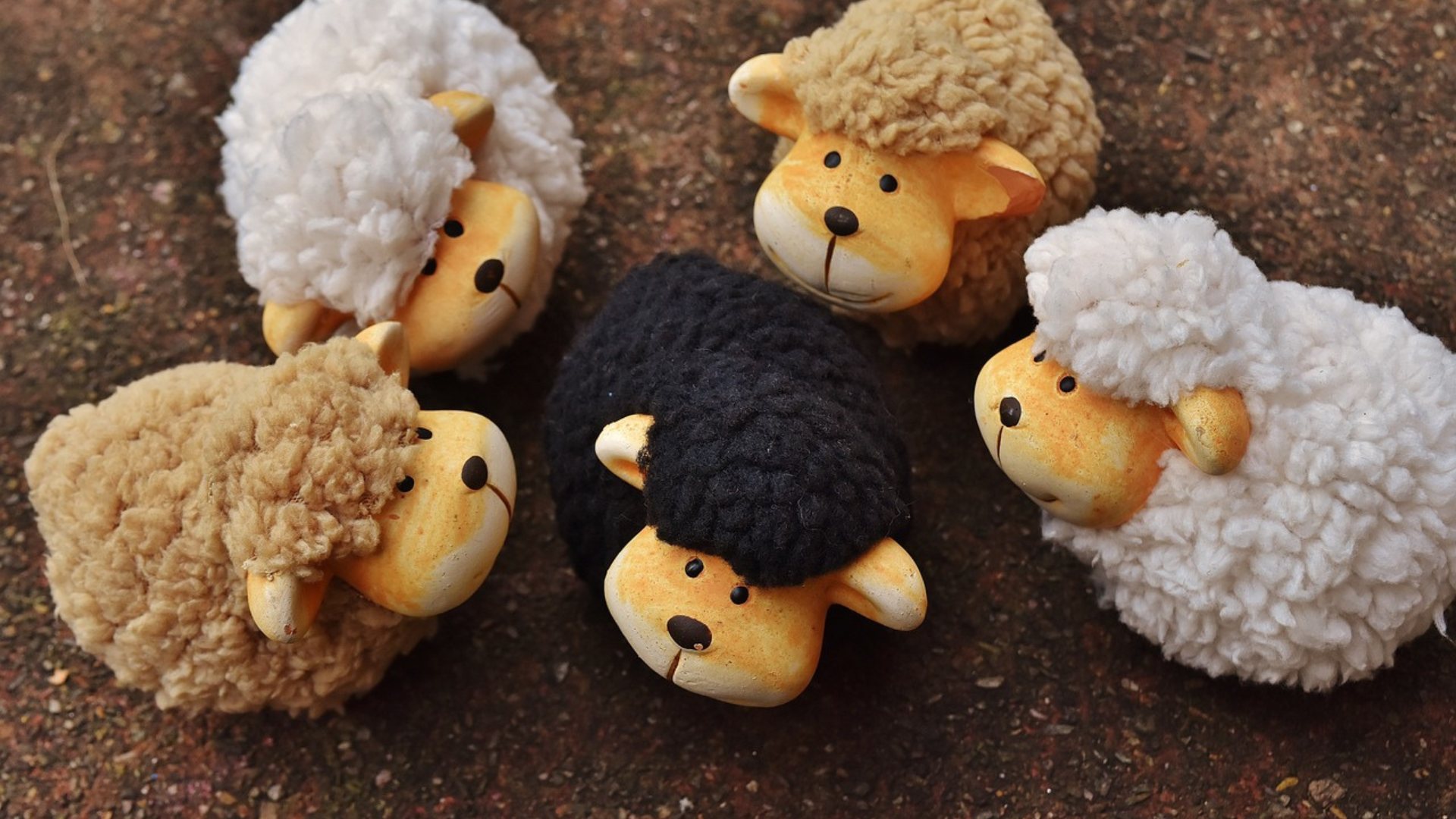 essere la pecora nera della famiglia