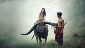 Scopri di più sull'articolo Cosa non fare in Cambogia: consigli di viaggio prima di partire